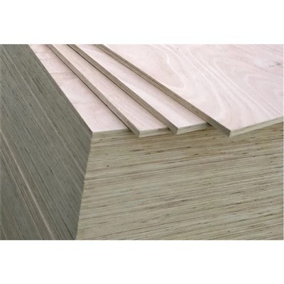5.2mm   Birch   Plywood